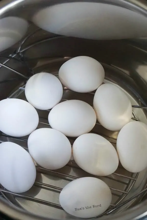 Instant Pot Hard Boiled Eggs - uncooked eggs - uncooked eggs in Instant Pot
