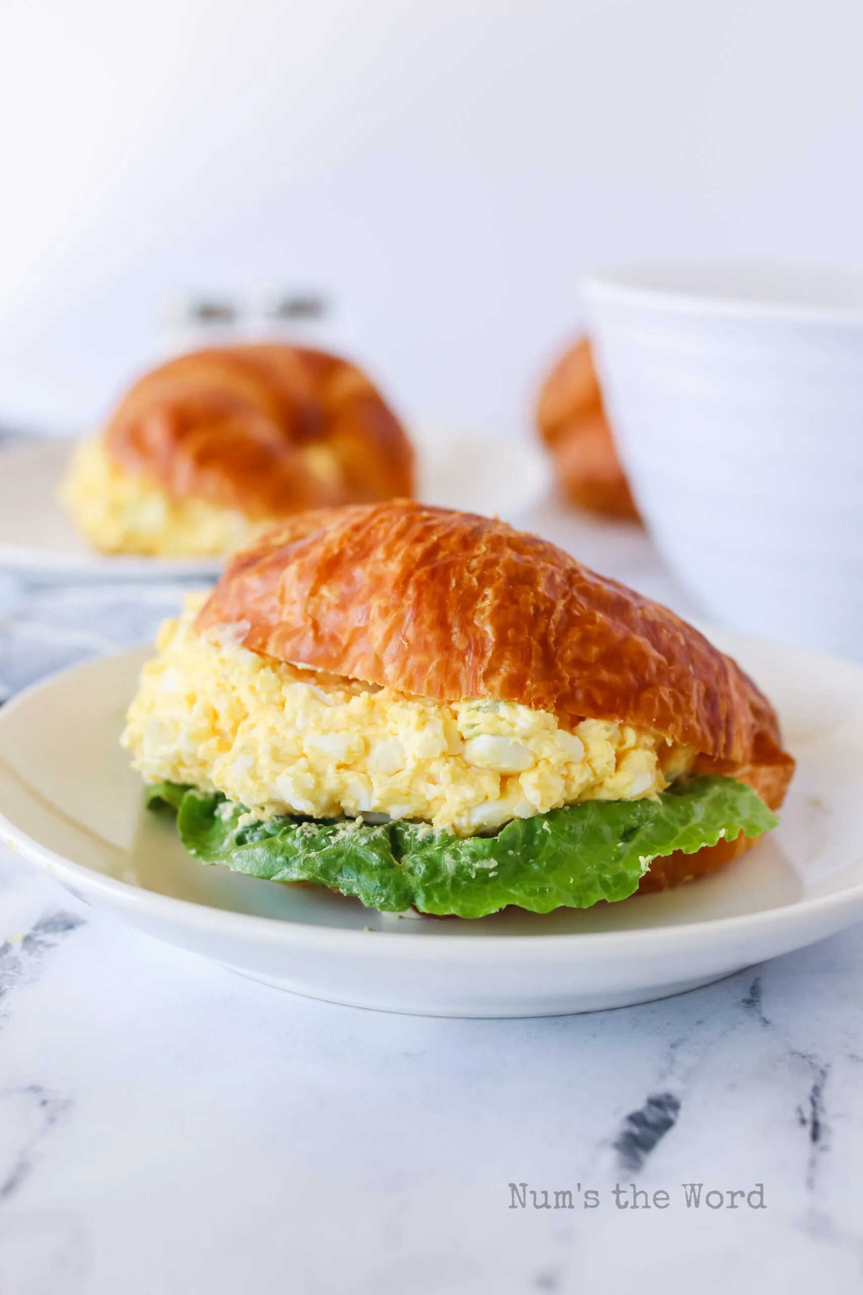 zoomed out image of two egg salad sandwiches on plates both with lettuce.