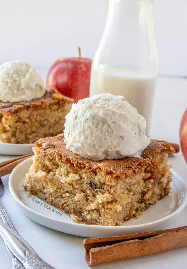 Cinnamon Sugar Apple Blondies Recipe Num's the Word