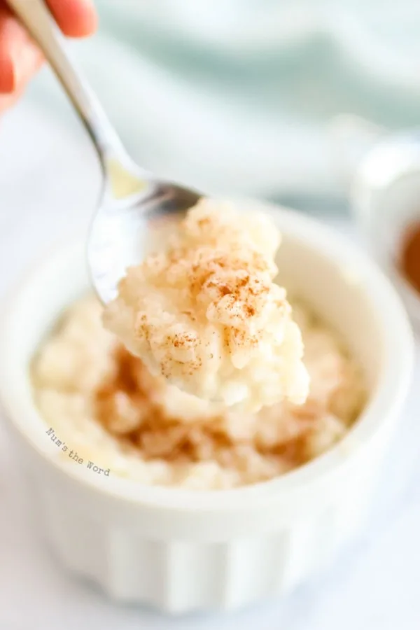 Rice Pudding - close up of bowl full of rice pudding with a spoonful close to camera lens