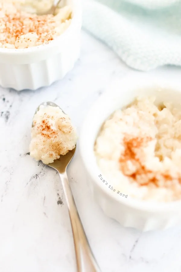 Rice Pudding - bowl of rice pudding with a scoop on a spoon sitting next to bowl