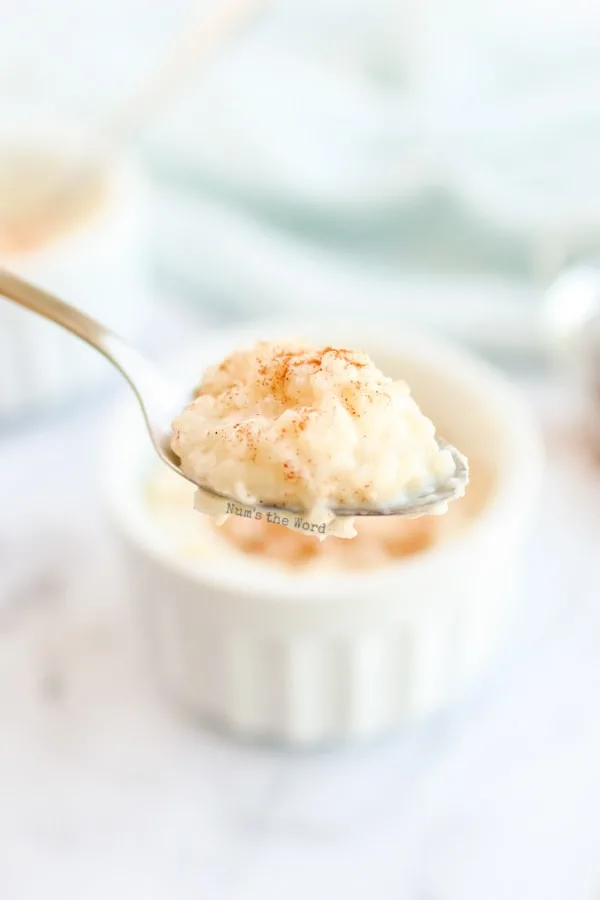 Rice Pudding - close up of spoon of rice pudding - side view