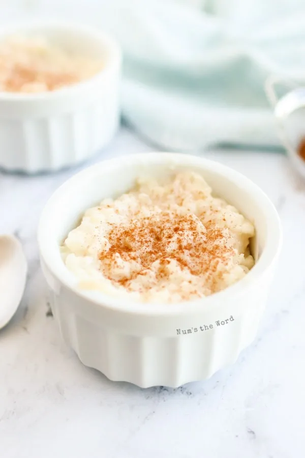 Rice Pudding - rice pudding in two bowls with cinnamon sprinkled over the top