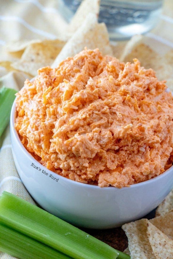 The BEST Buffalo Chicken Dip - side view of dip in a bowl