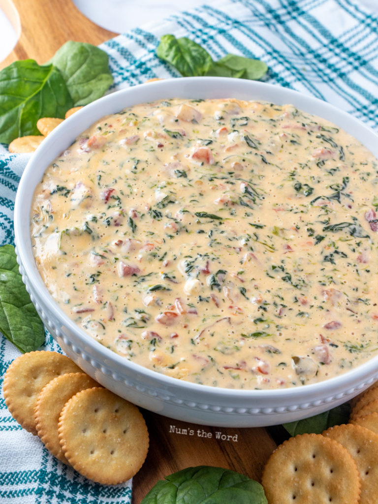Cheesy Bacon Spinach Dip {Crock Pot} Num's the Word