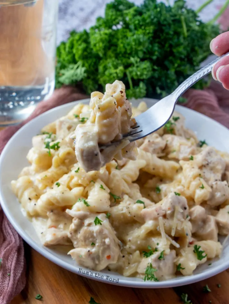 Creamy Italian Chicken - pasta on plate with fork full ready to eat