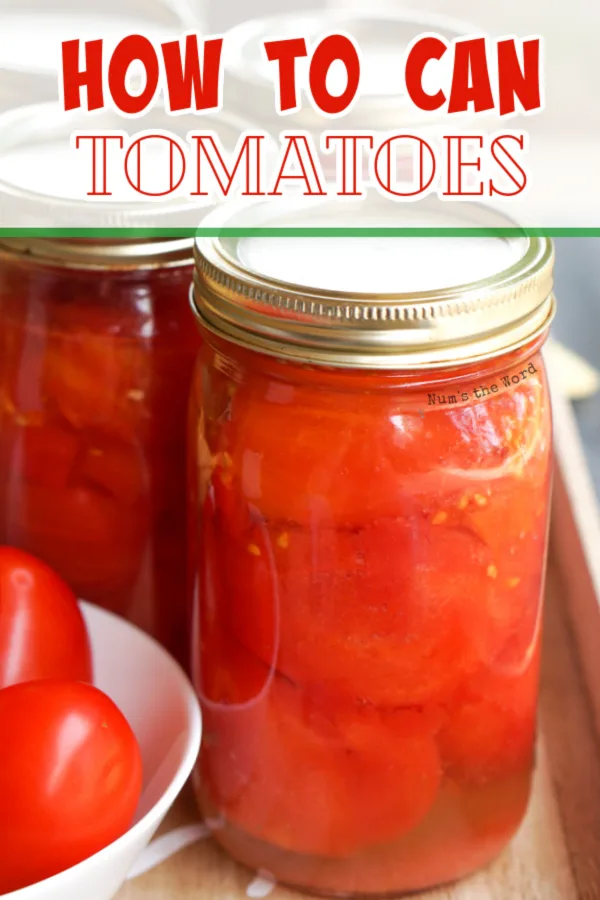 Tomatoes for Canning