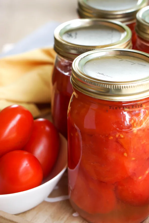 canned tomatoes with a bowl of fresh tomatoes