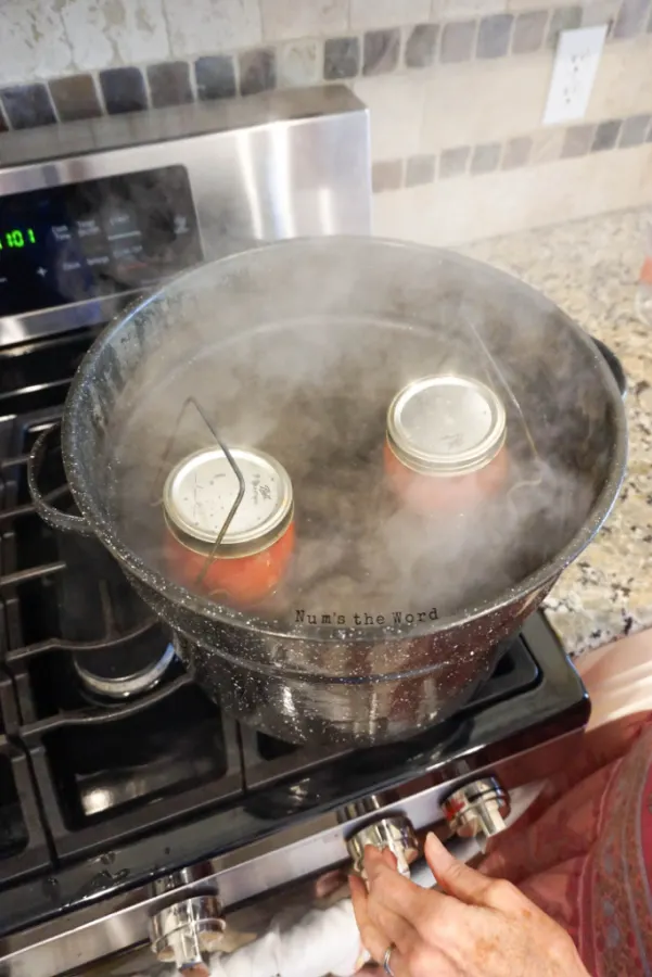 2 jars of tomatoes in a hot water canner