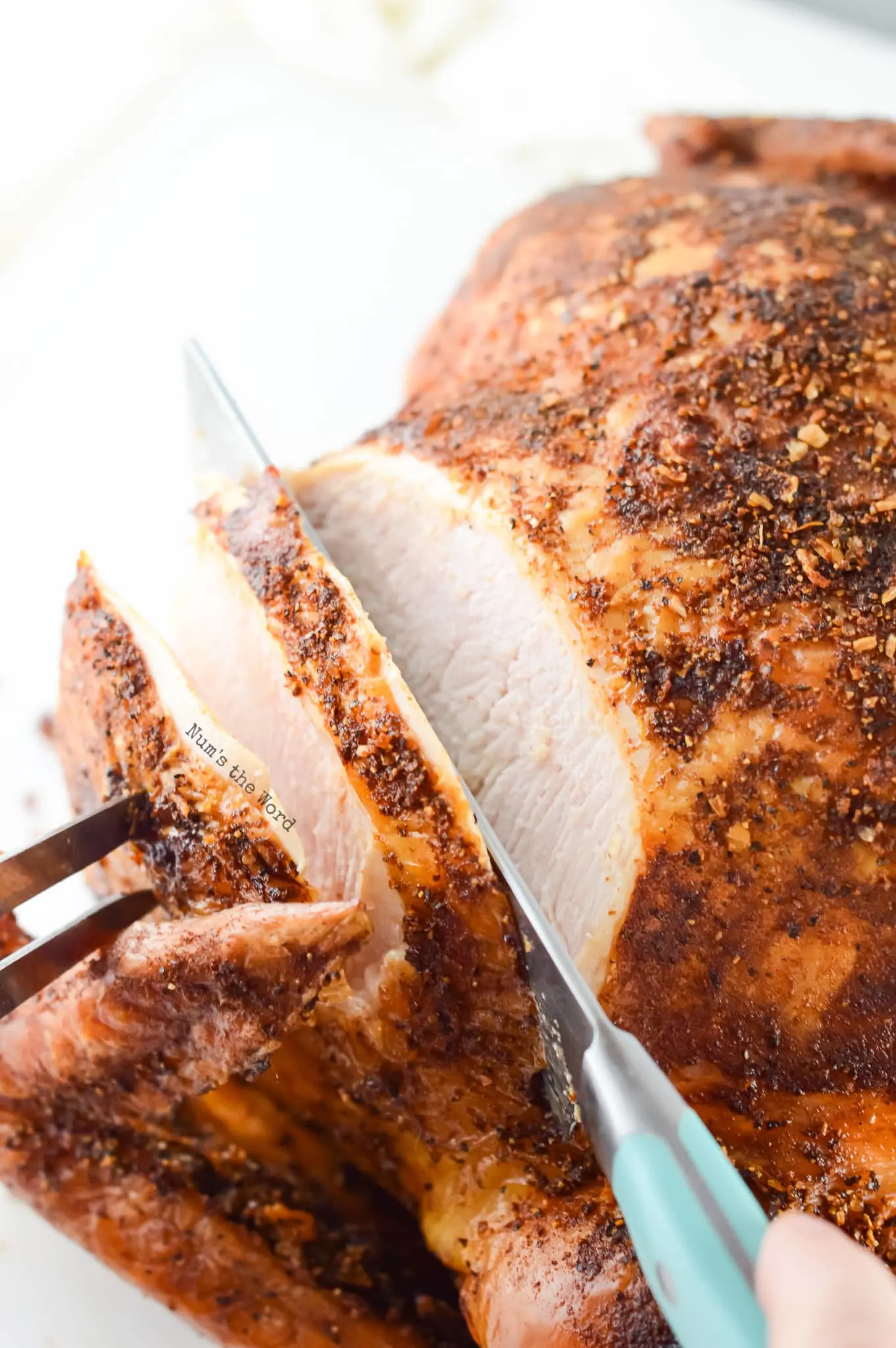 https://numstheword.com/wp-content/uploads/2020/08/smoked-turkey-20.jpg.webp