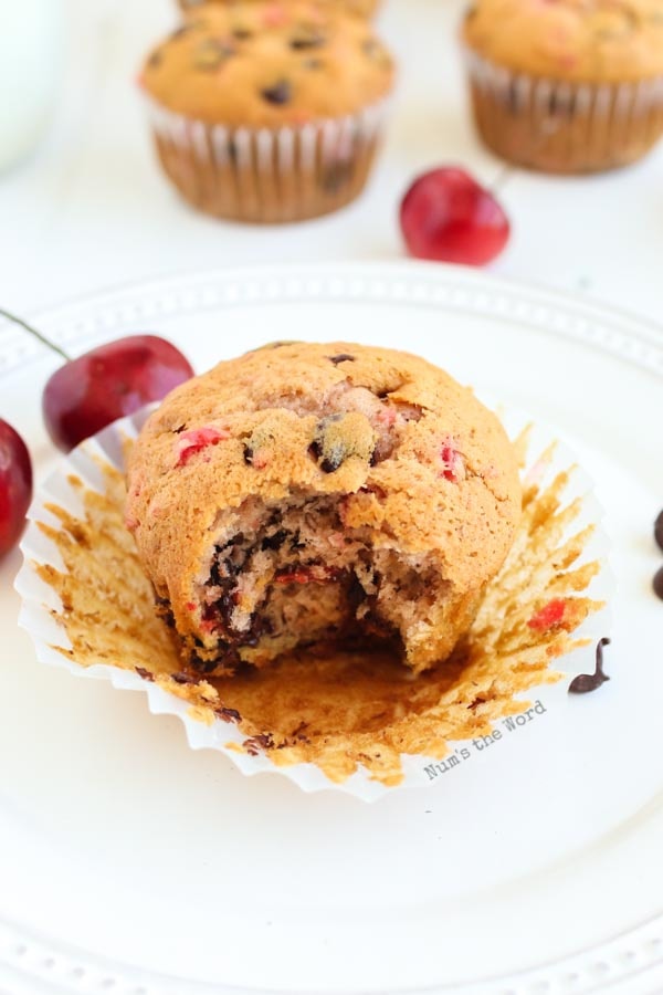 Banana Chocolate Chip Muffins - single muffin with a bite taken out of it