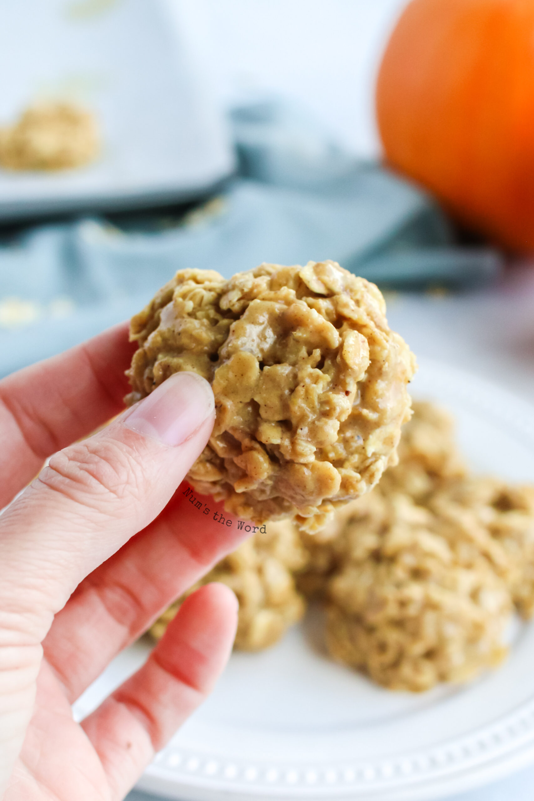 Hand holding a cookie to show details.
