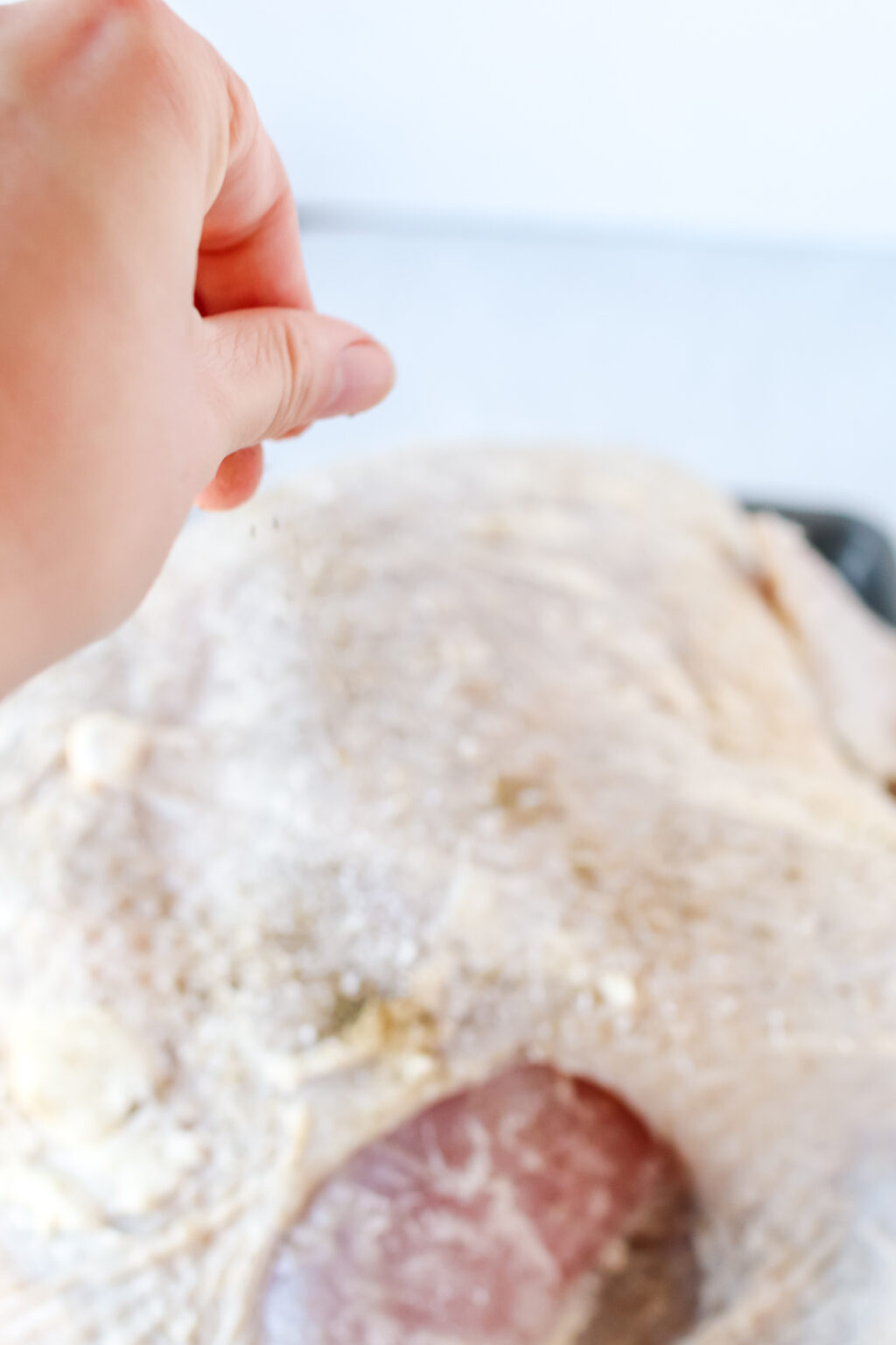 Roast Turkey in an Electric Roaster Num's the Word