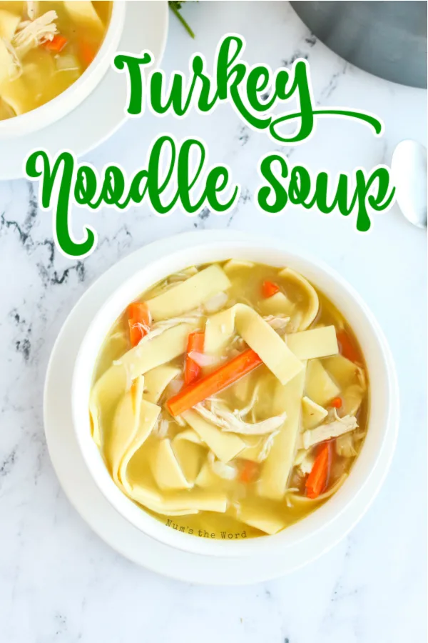 Main image of turkey noodle soup in a bowl ready to be eaten.