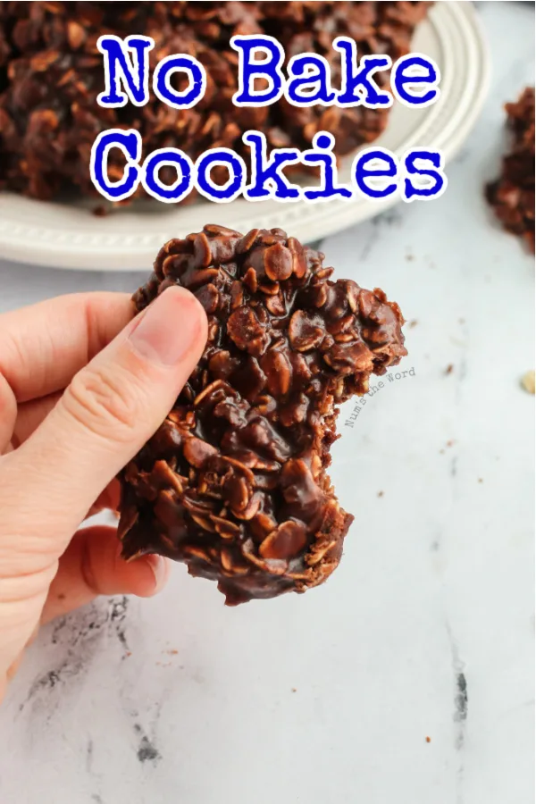 main image for no bake cookie recipe of hand holding a cookie with bite out of it.