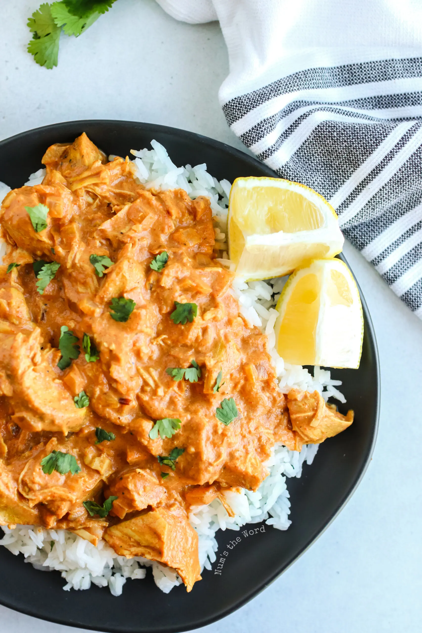 zoomed in image of tikka masala on plate with lemon wedges