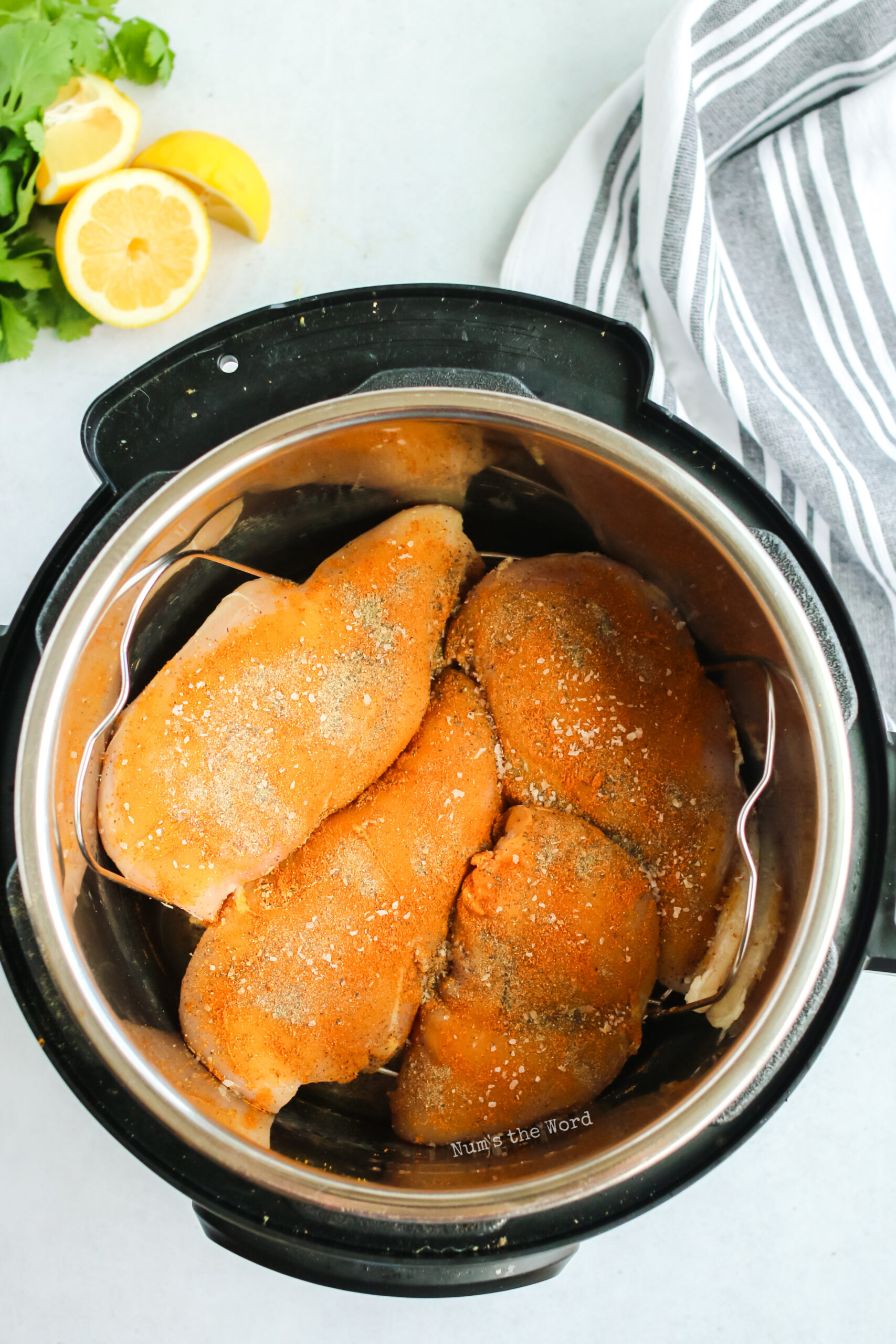 seasoned, uncooked chicken in the instant pot