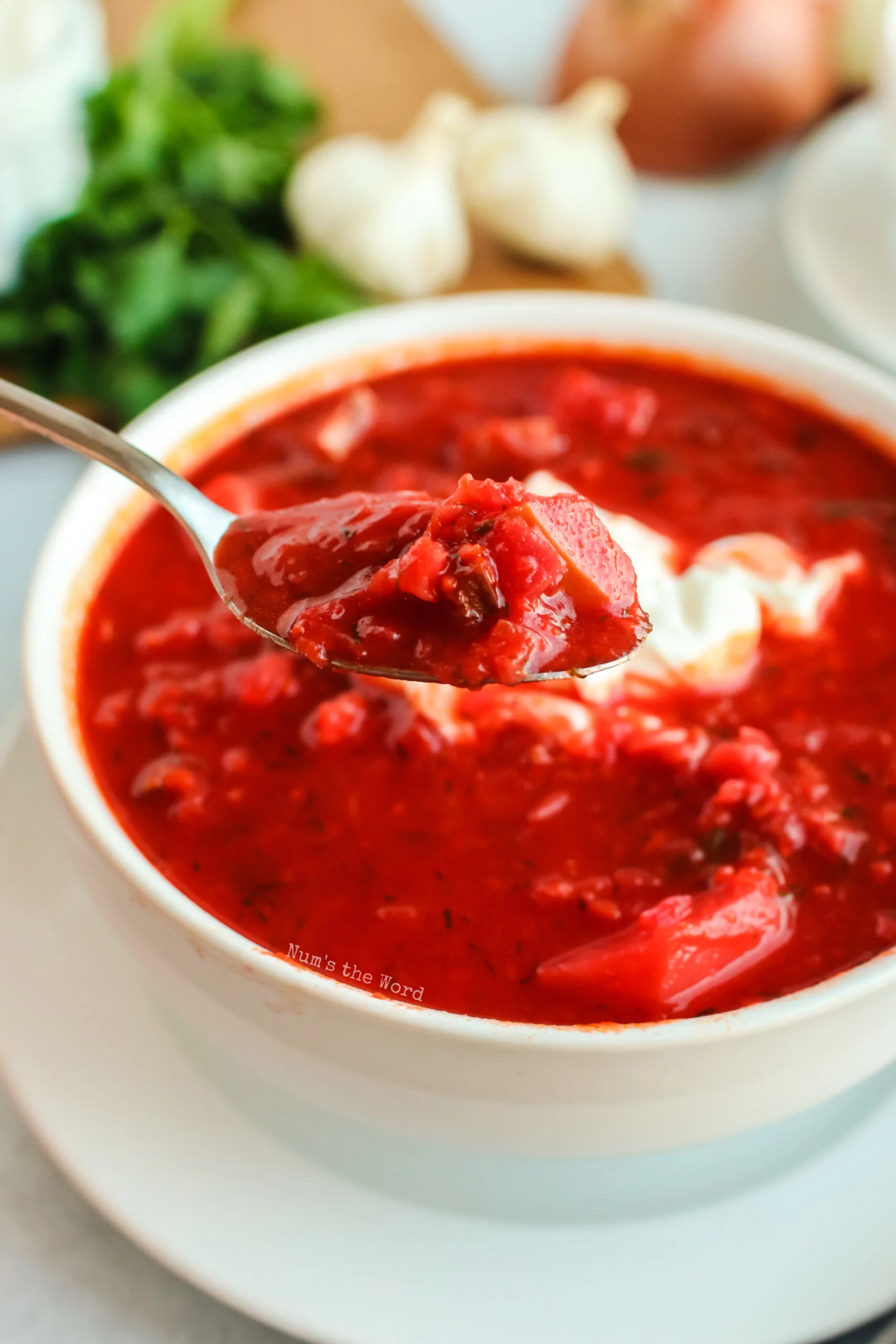 spoon holding up a portion of borscht ready to be eaten.