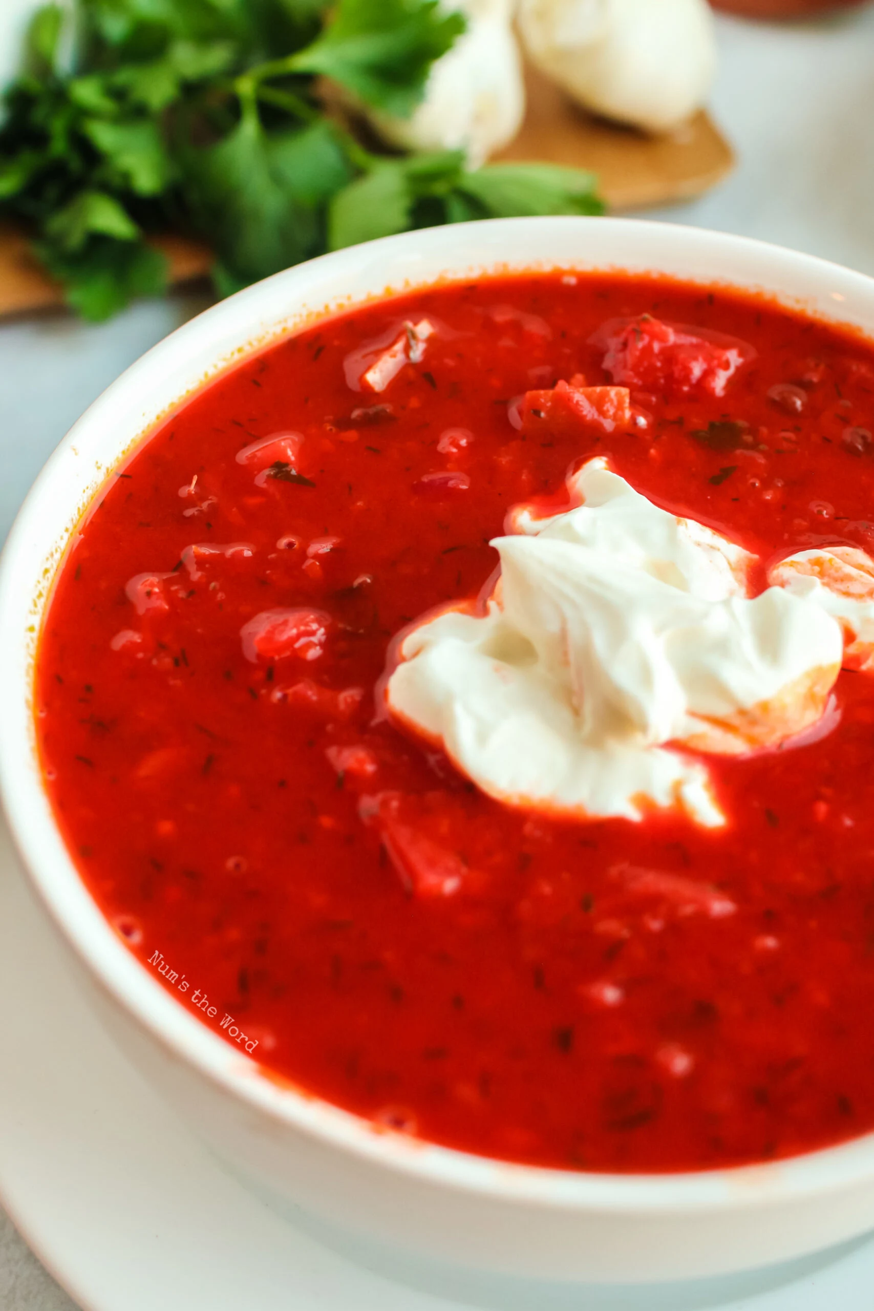 top side view of a bowl of borscht with a dollop of sour cream on top.