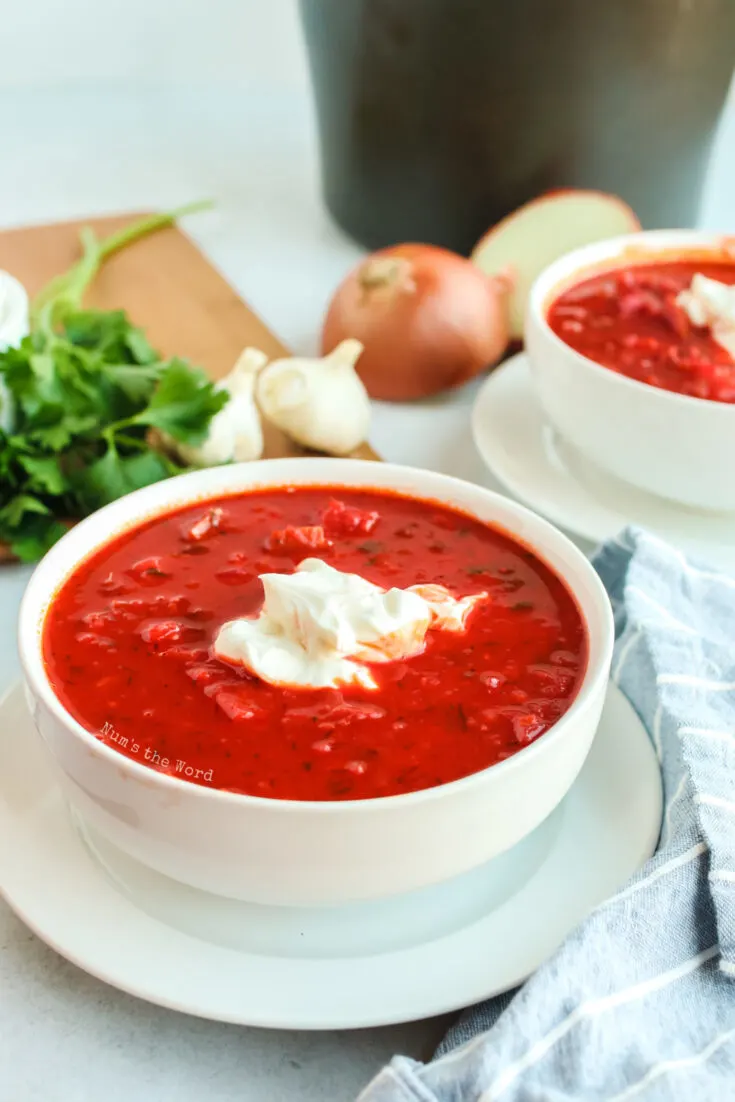 side view of two bowls of borscht with sour cream on top