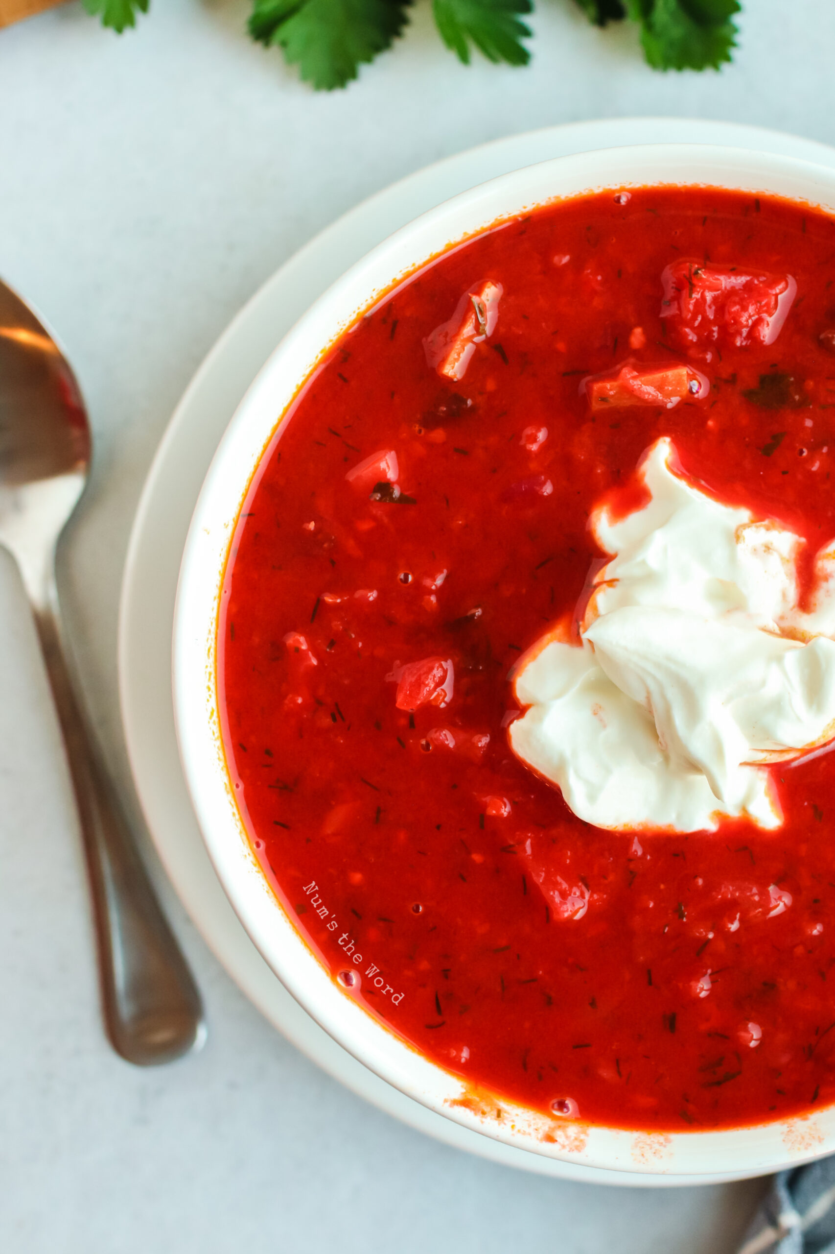 borscht put in a bowl and topped with sour cream - top view