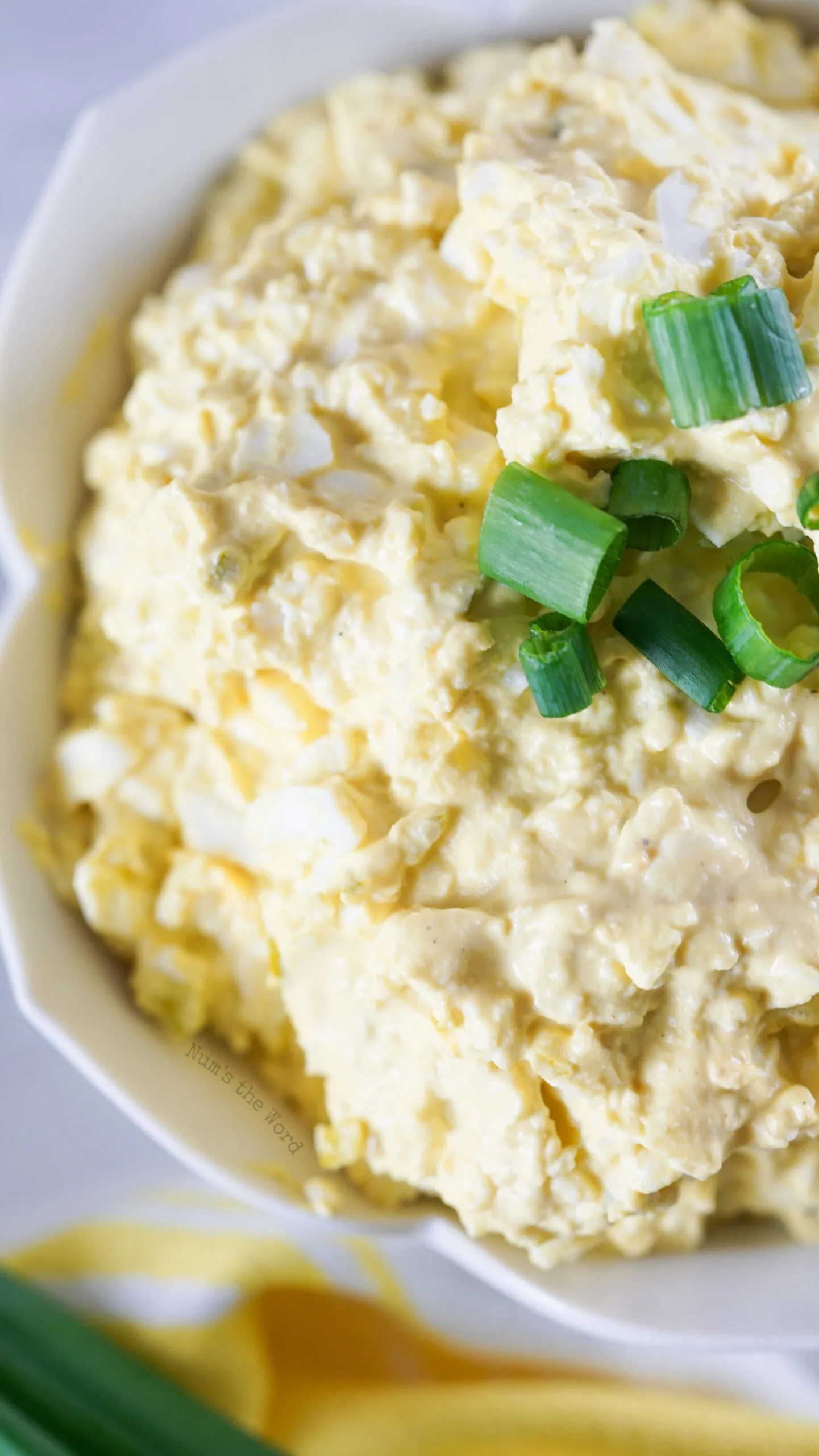 close up of egg salad in bowl with chopped green onions on top