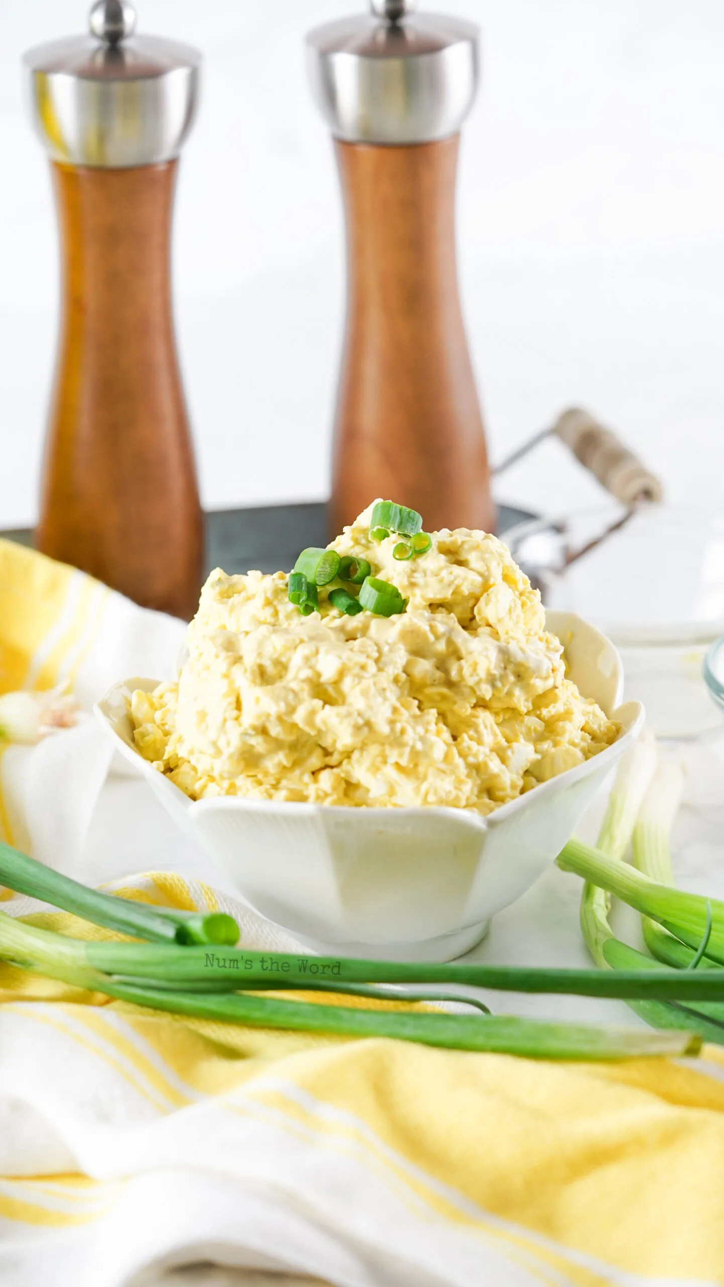 Bowl of egg salad with salt and pepper shakers in background.