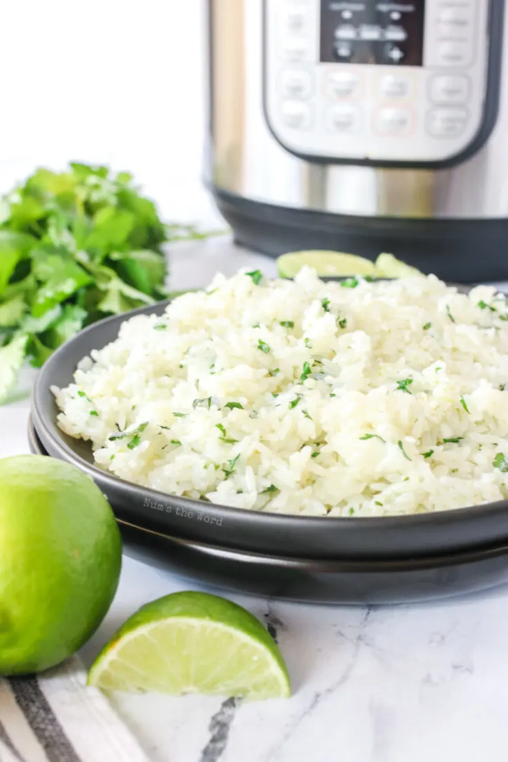 plate full of rice with instant pot in back ground.