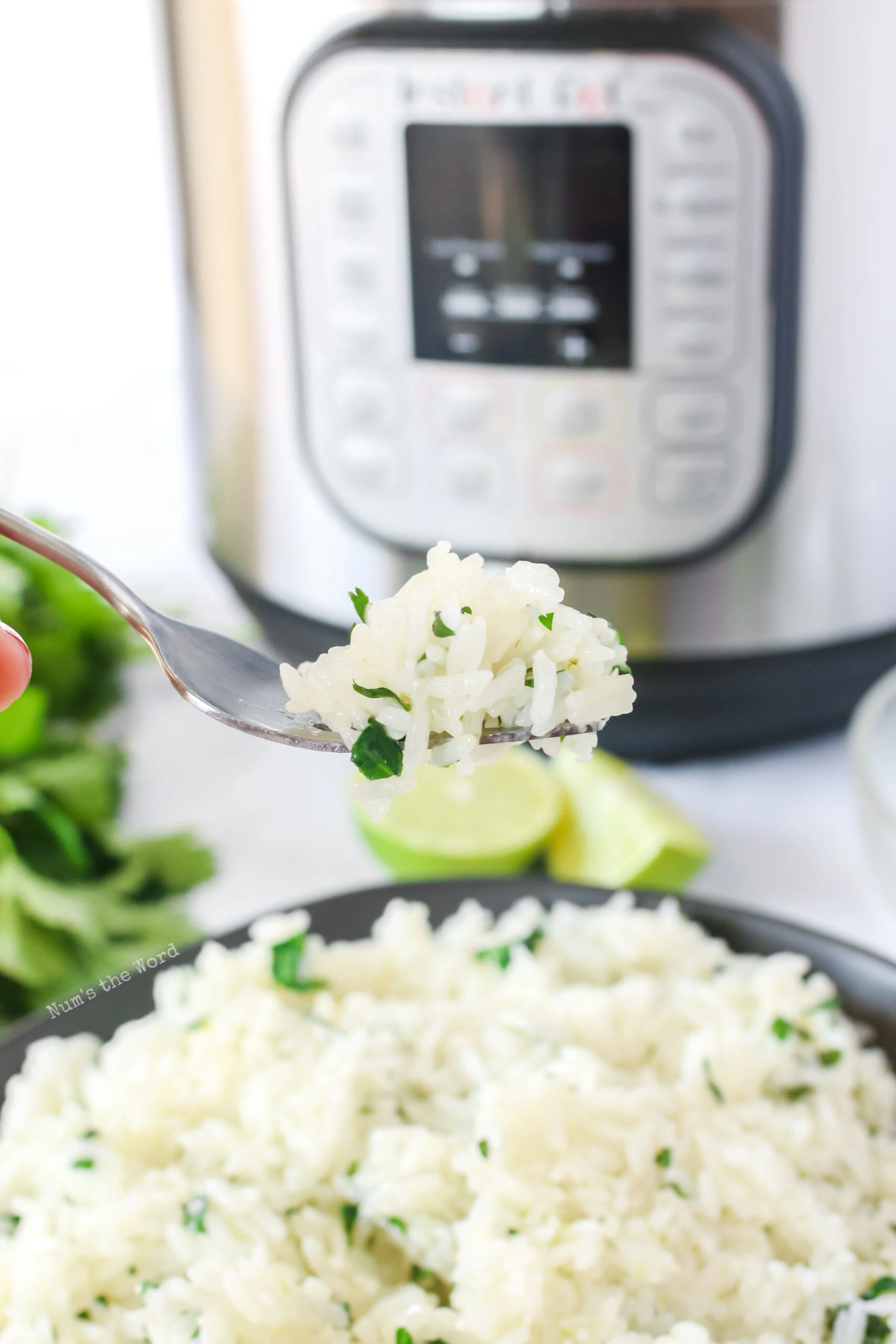 plate of rice with a fork full above plate. Instant pot in background.