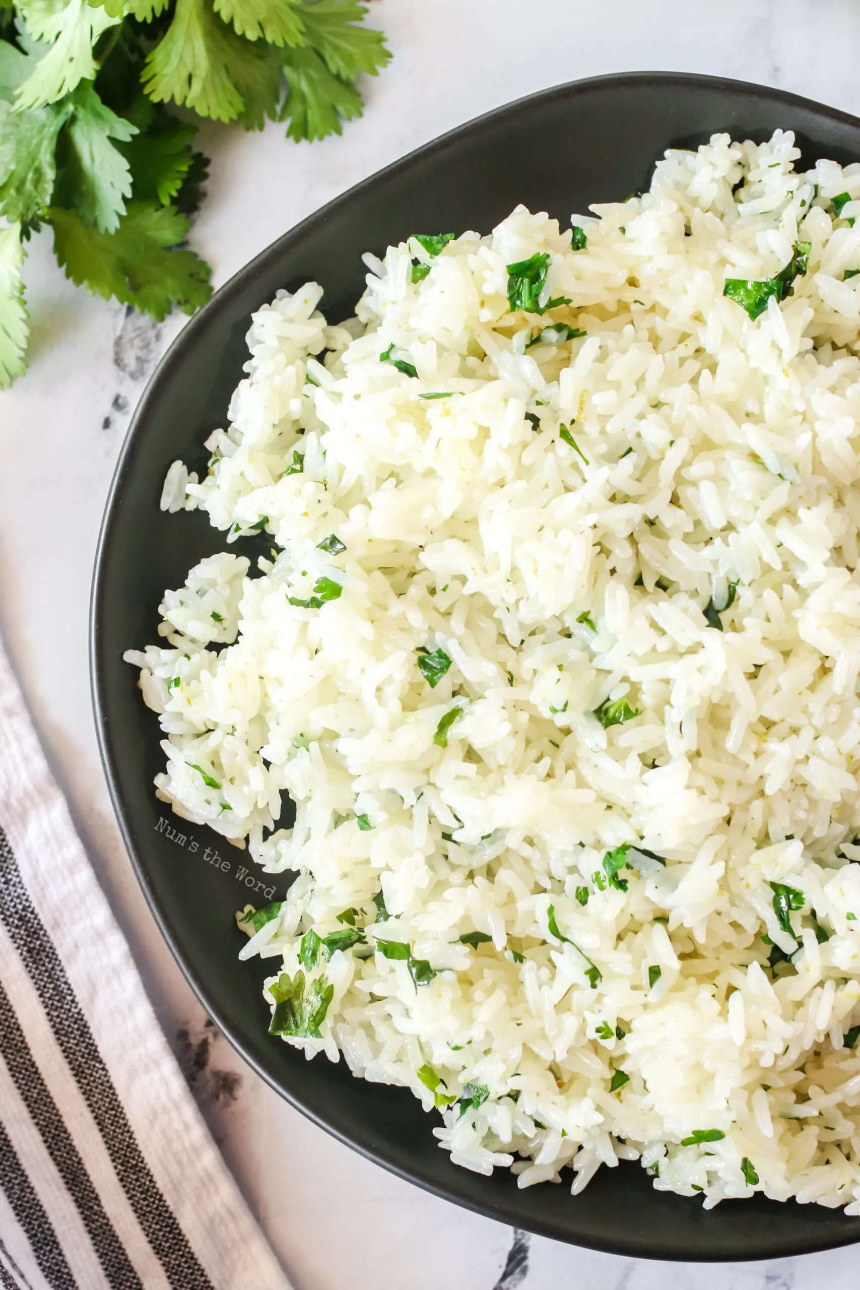 zoomed in image, top view looking down of rice on plate ready to serve