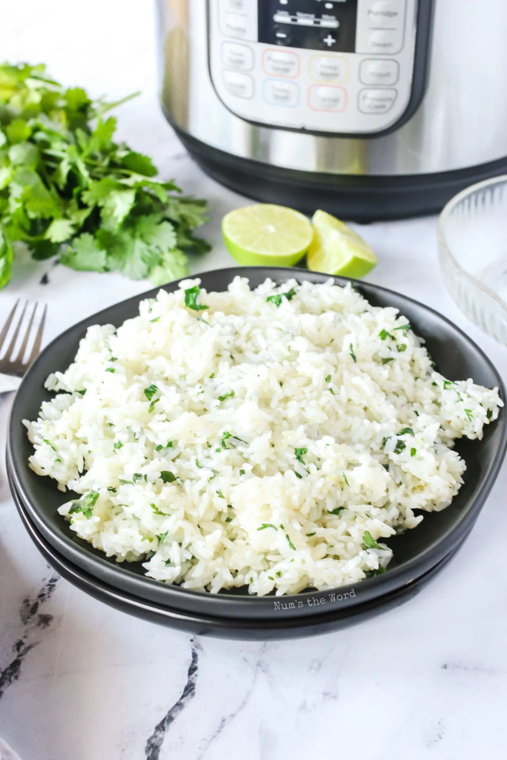 fluffy cilantro lime rice in a bowl, ready to eat