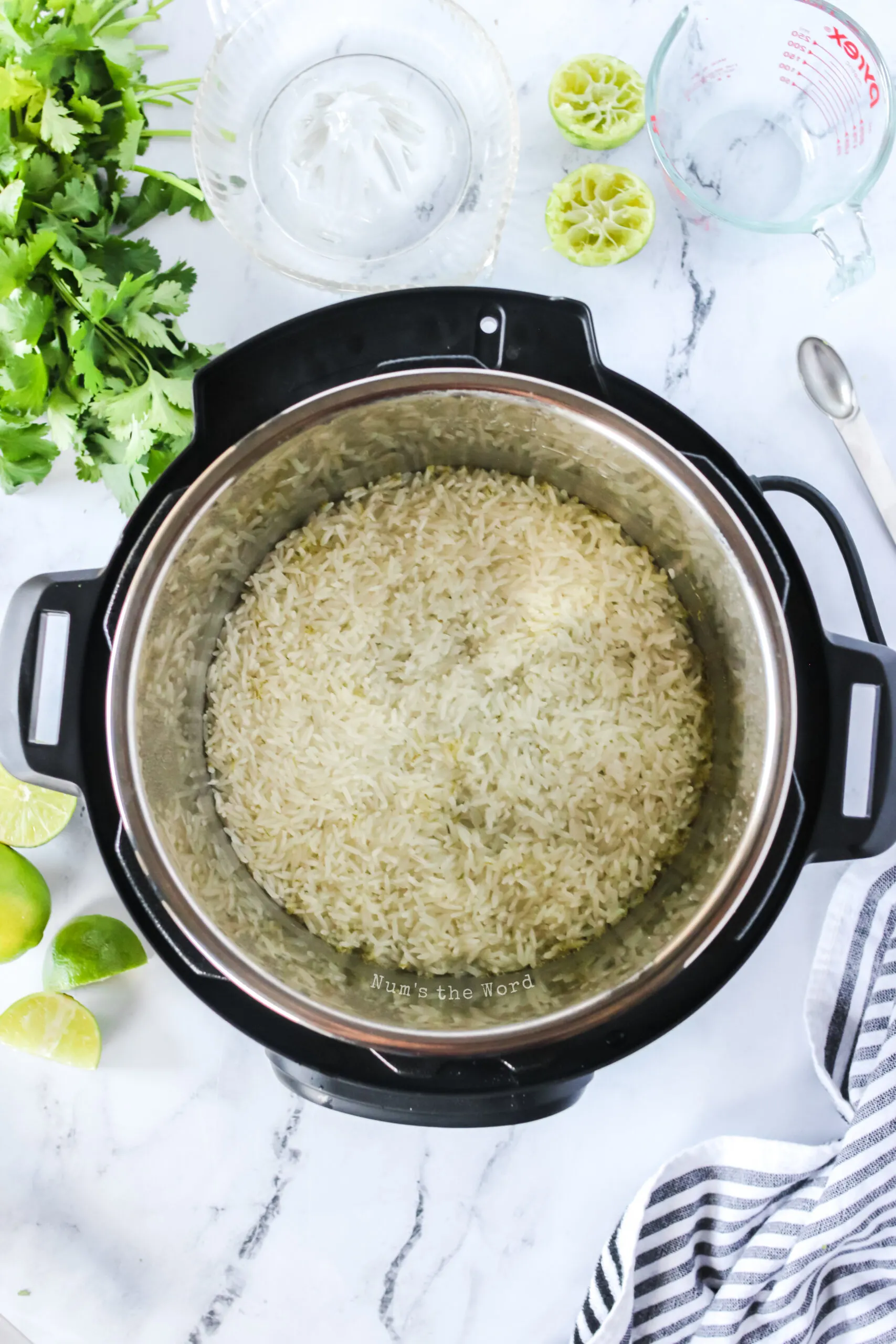 Cooked rice in instant pot, just cooked.