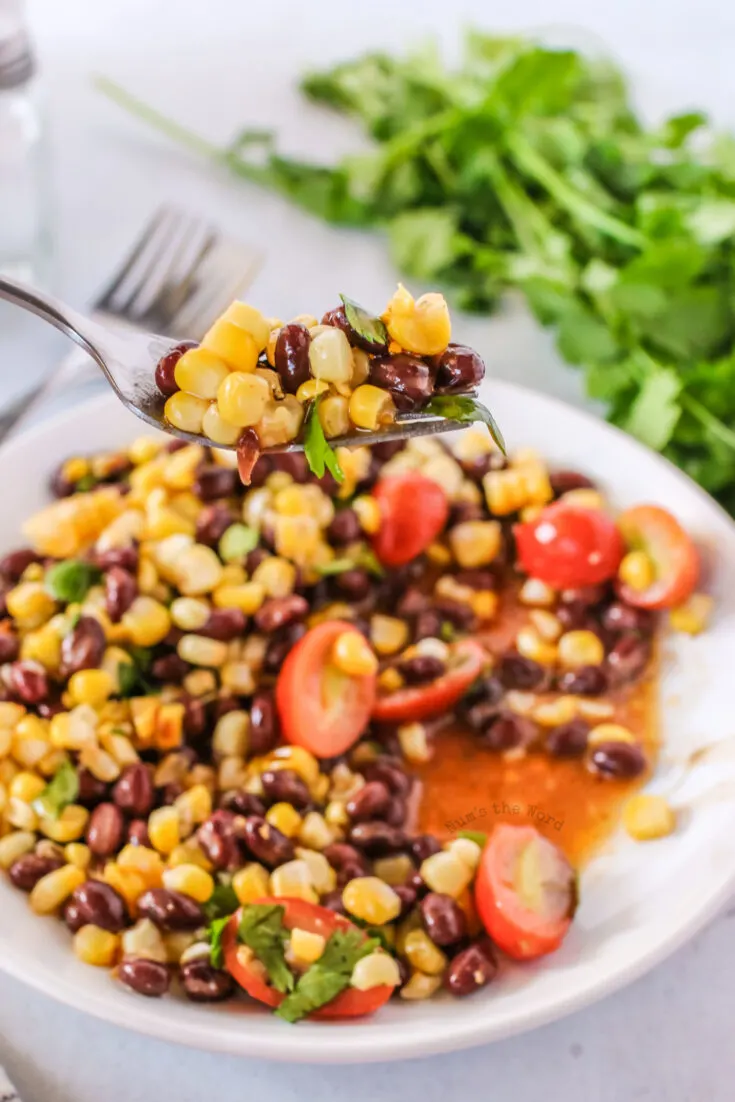 grilled corn salad on a plate with a fork full held up.