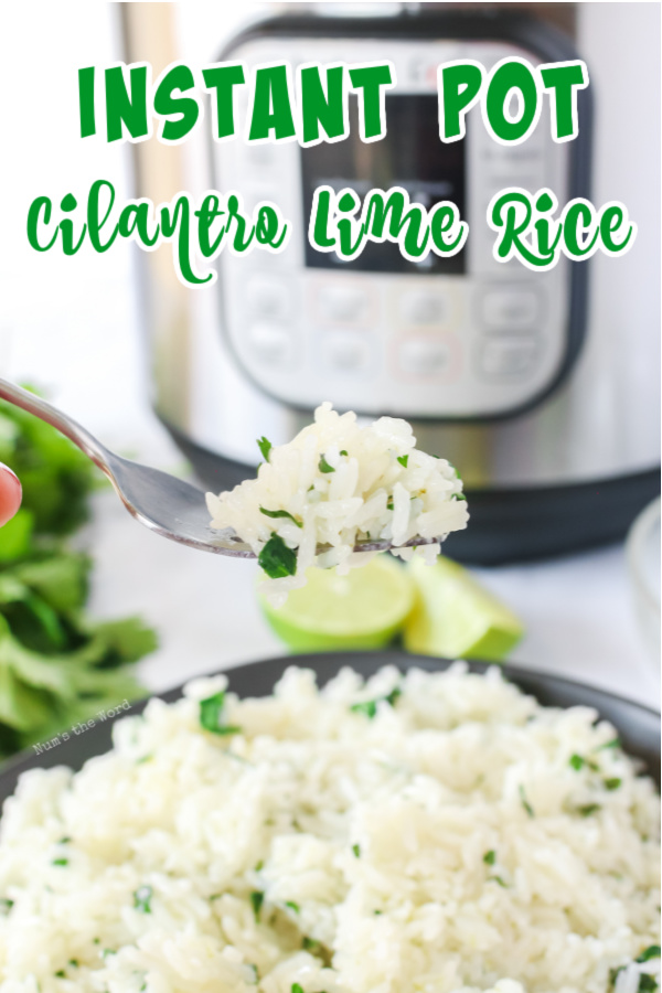 main image for recipe of Instant Pot Cilantro Lime Rice of rice in bowl with a fork full held above bowl.