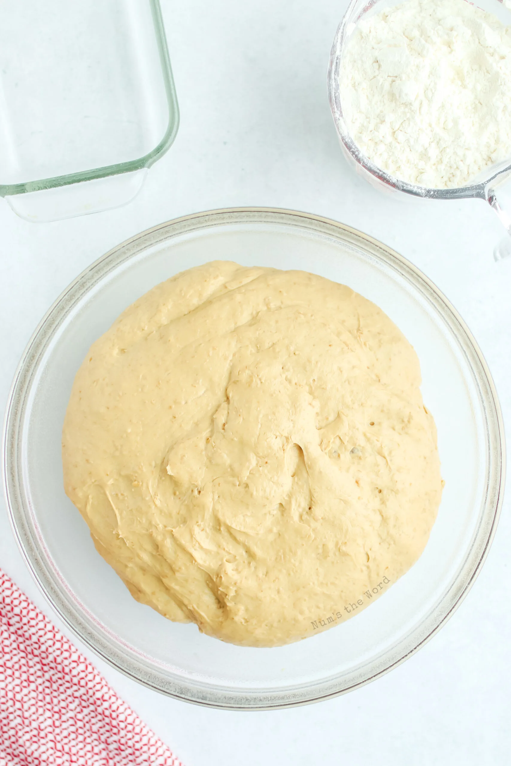 risen dough ready to cut and shape into loaves.