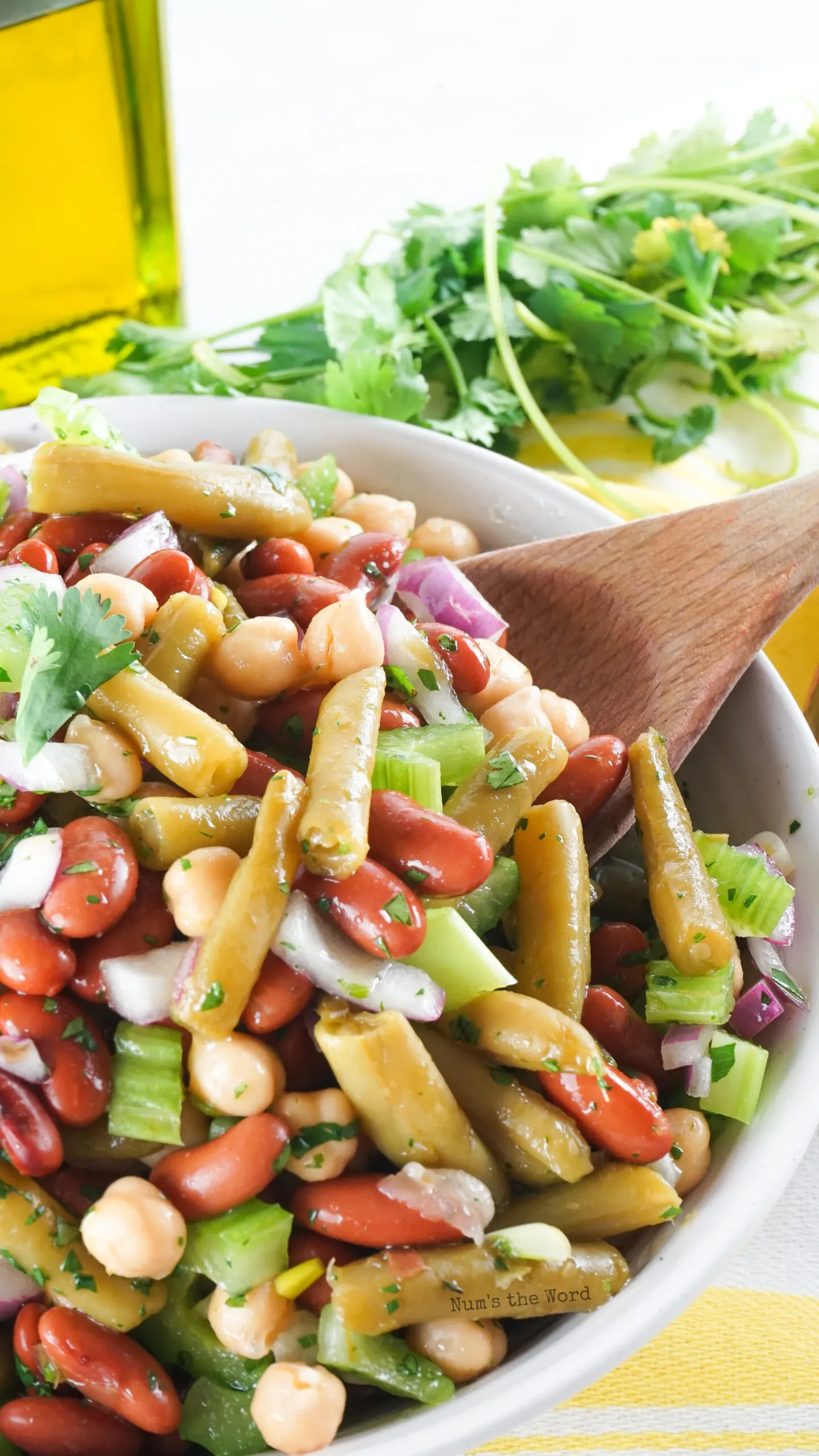 wooden spoon in salad, ready to serve.