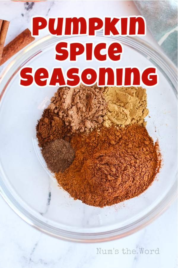 Main image for Pumpkin Spice Seasoning Recipe. All spices in a bowl unmixed.