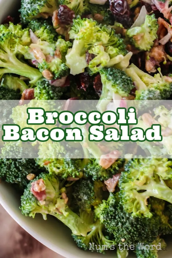 Main image for Broccoli Bacon Salad