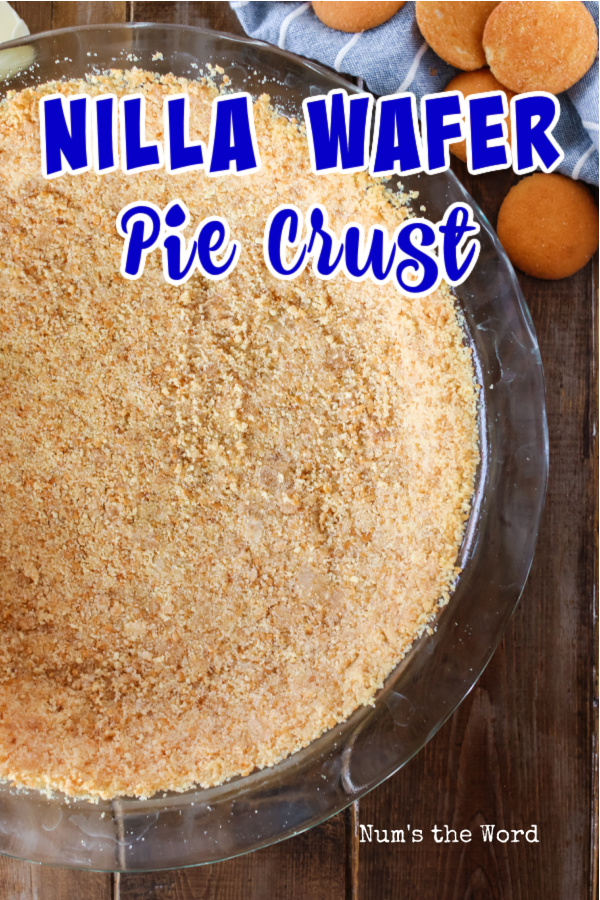 Main image for recipe of pie crust in pie plate.