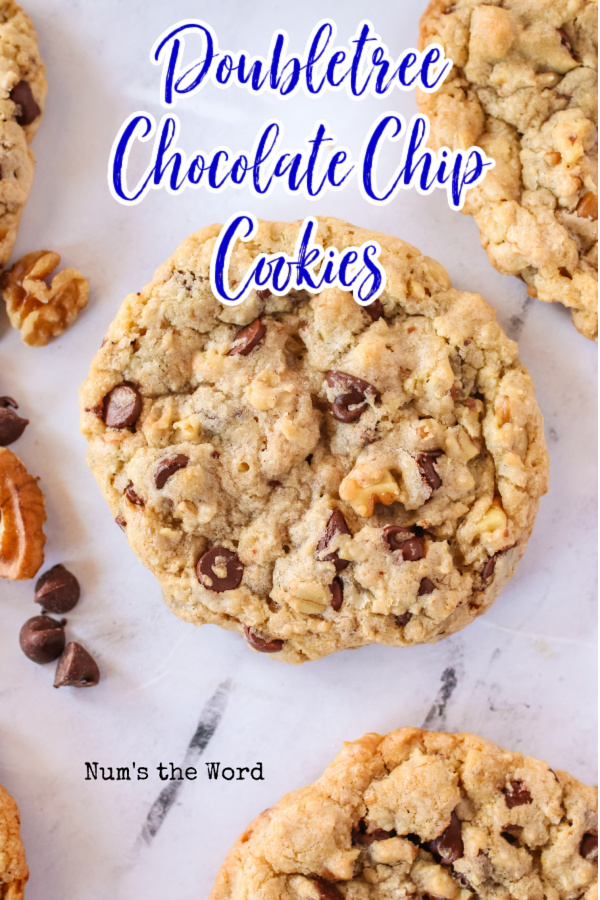 Main image for doubletree chocolate chip cookies.