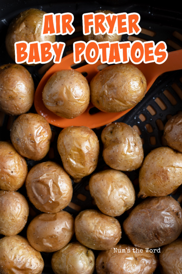 main image for air fryer baby potatoes. Potatoes are in air fryer, cooked and being scooped out.
