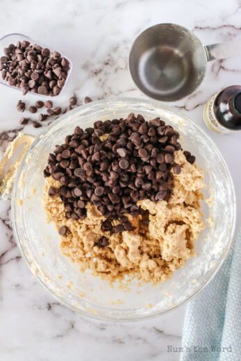 Chocolate Chip Cookie Dough - Num's the Word