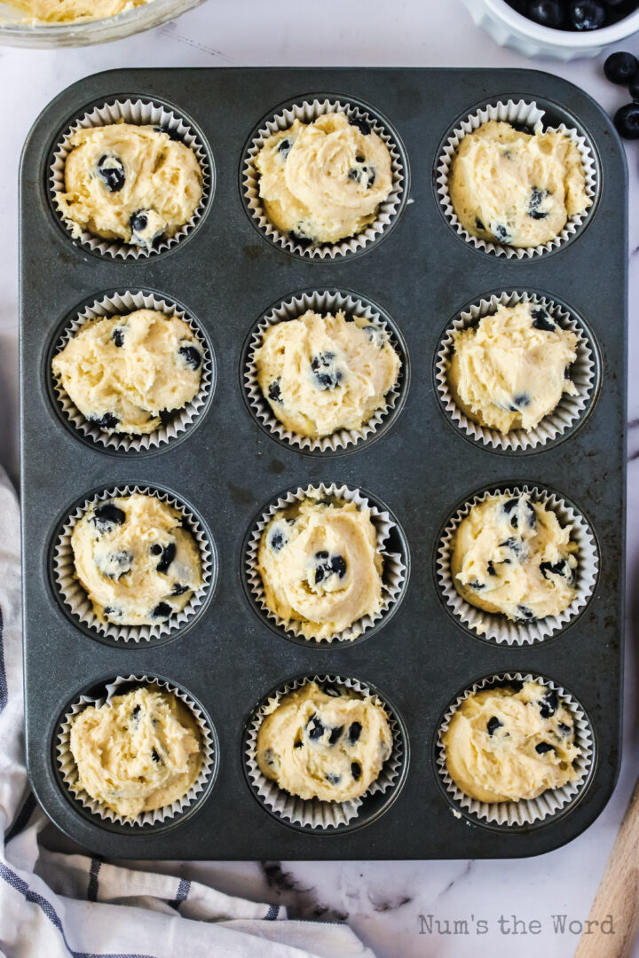 Easy Blueberry Muffins Num's the Word