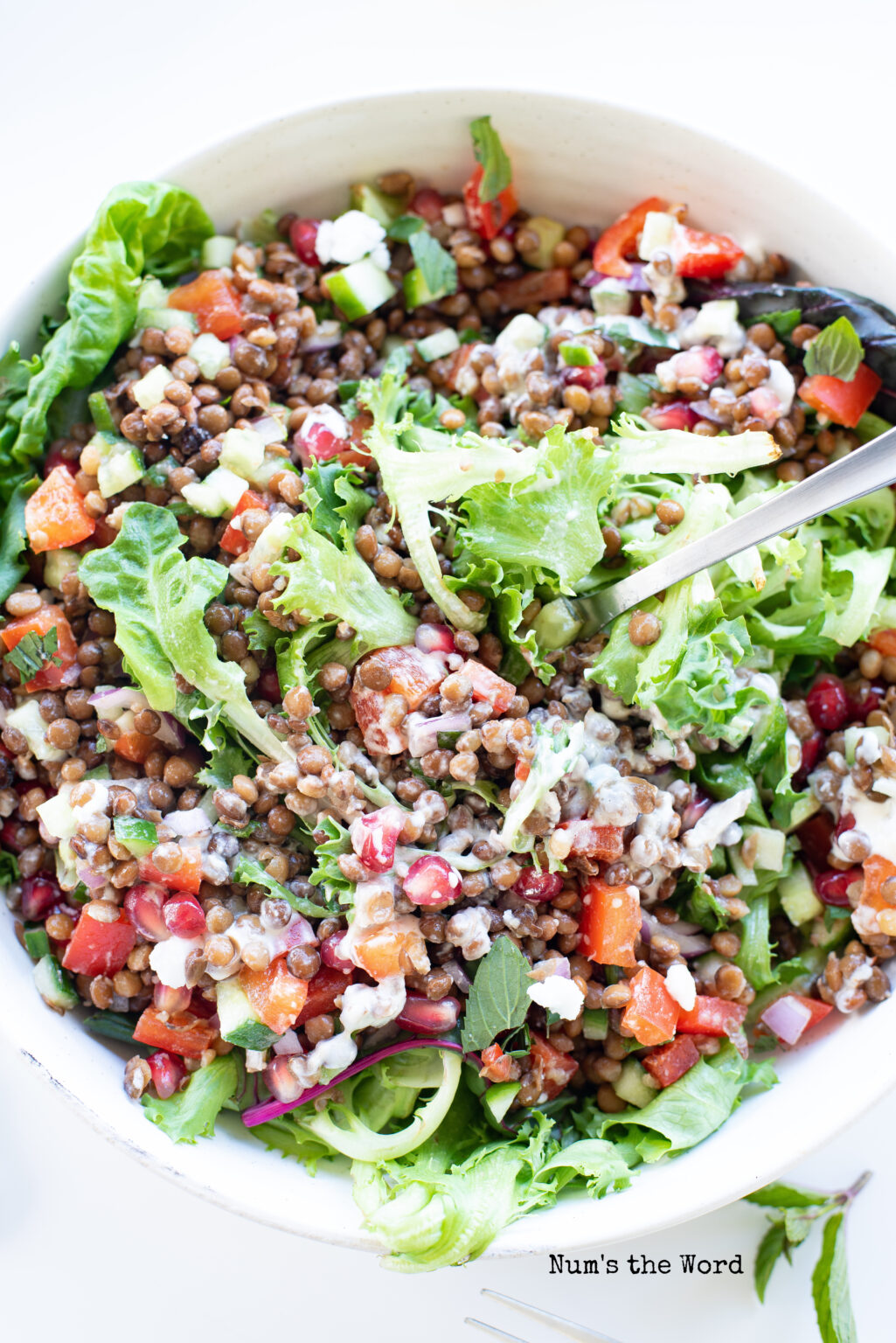 Lentil Salad Num's the Word