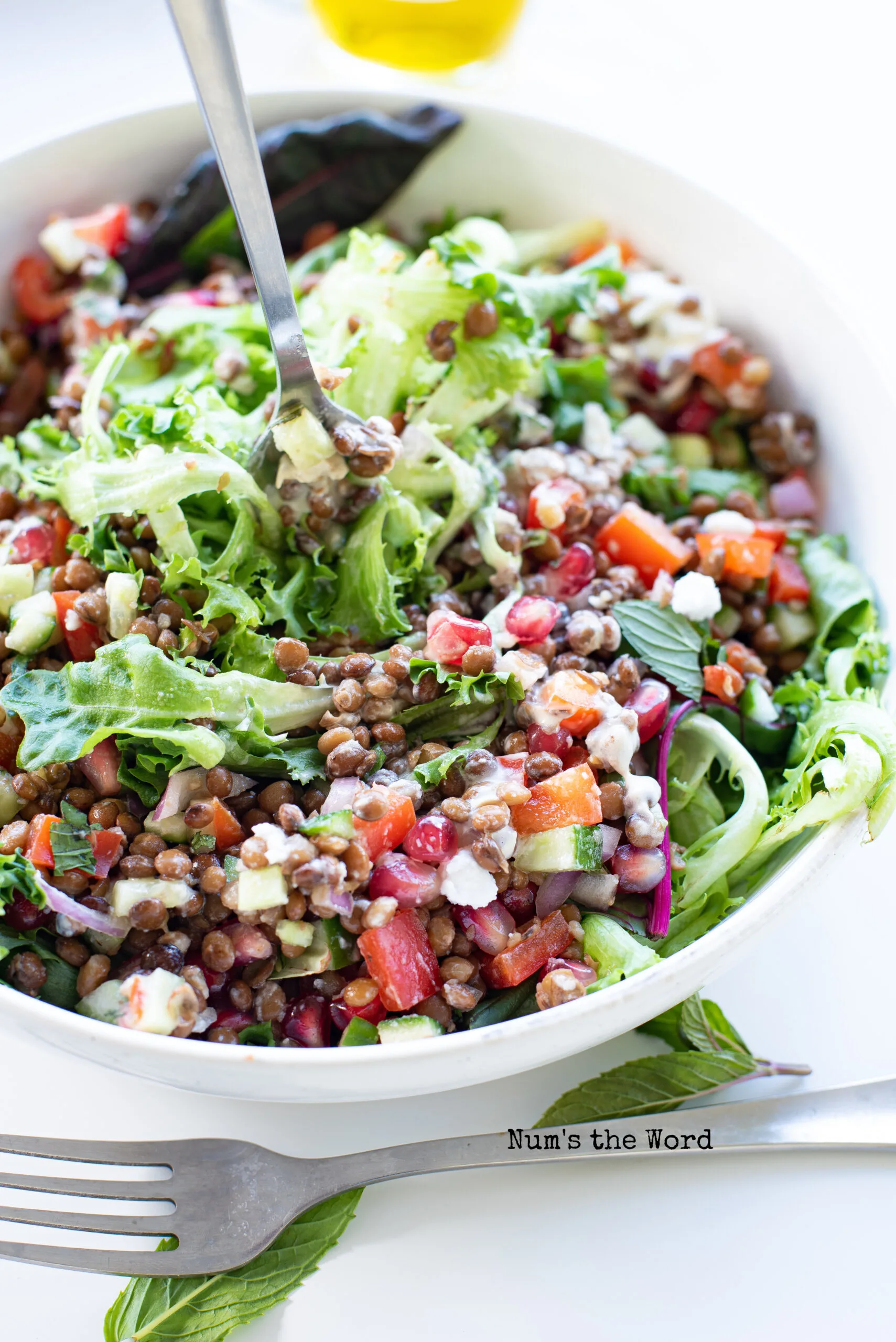 side view of salad tossed with dressing with a fork in the salad