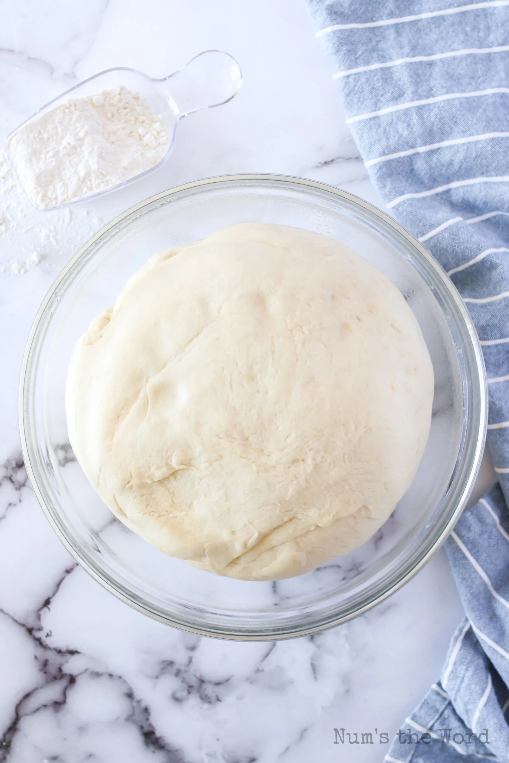 raised bread dough in a bowl