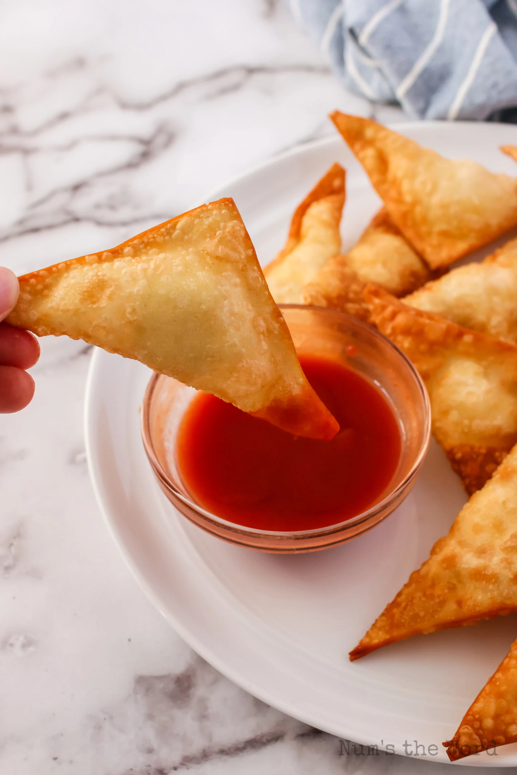 hand holding a wonton and dipping it into the sauce