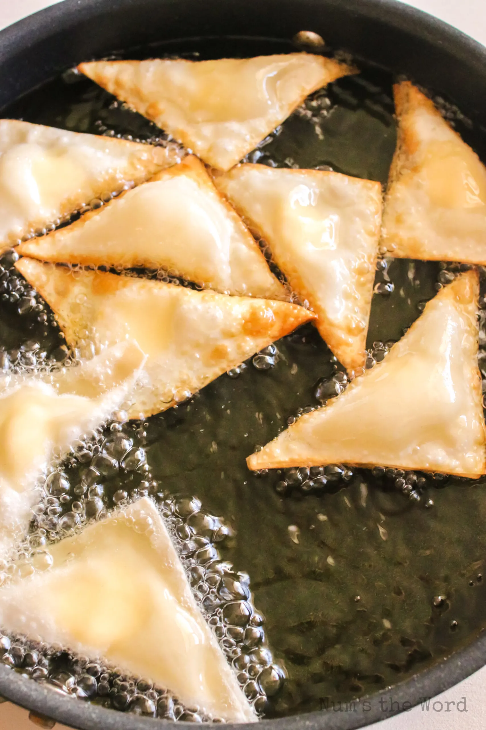 wontons placed in hot oil