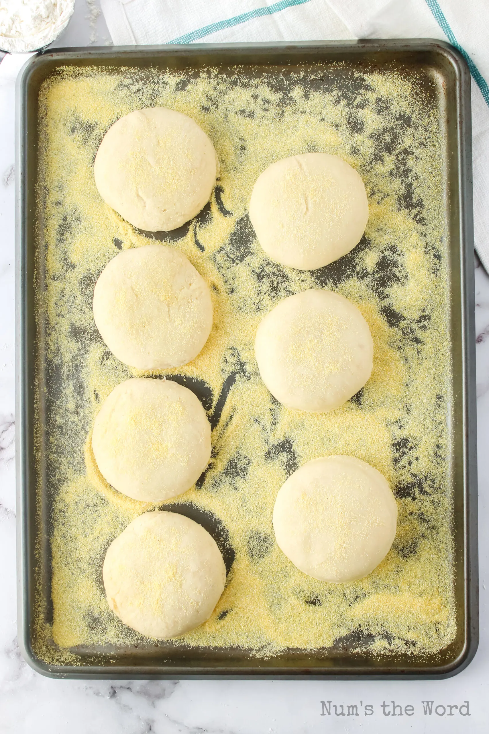 english muffins risen and ready to be cooked.