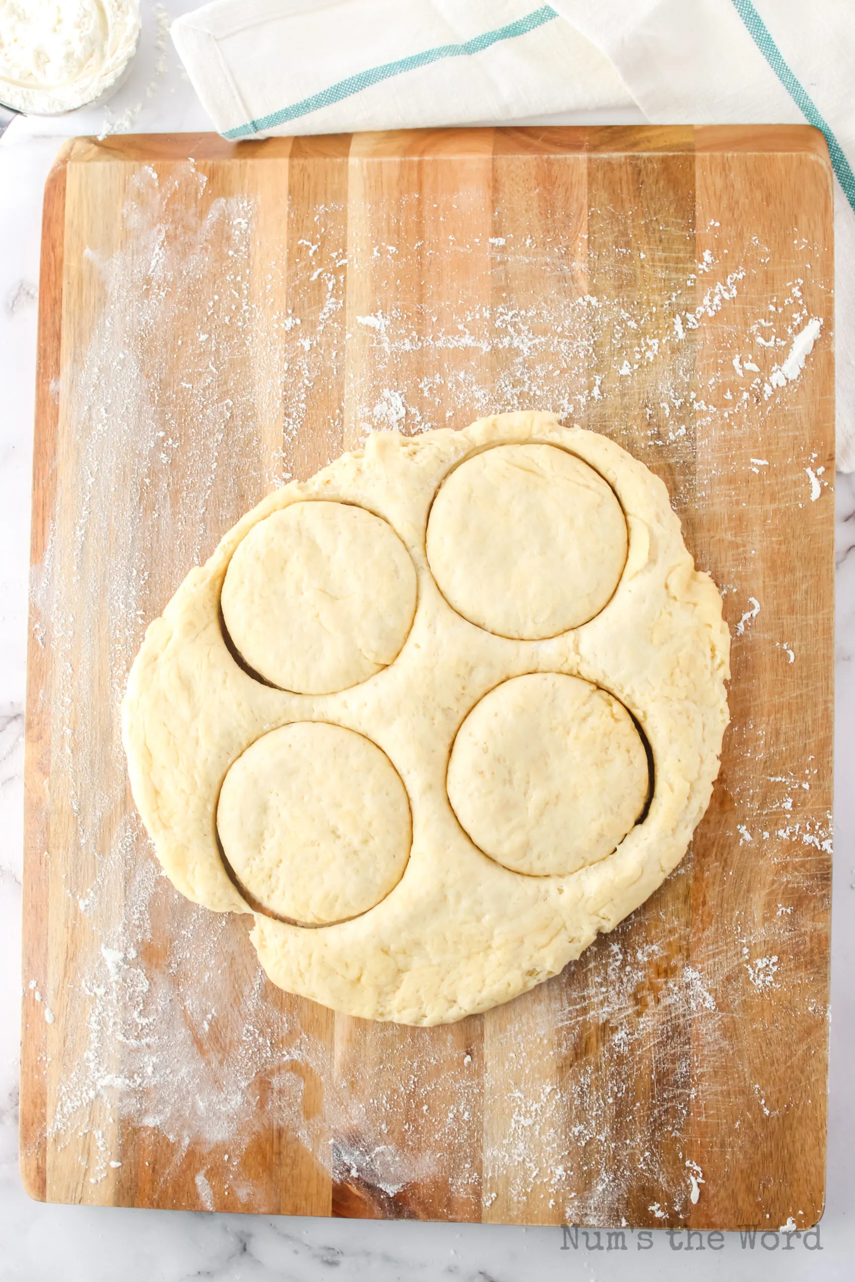 english muffin dough rolled out with 4 muffins cut out